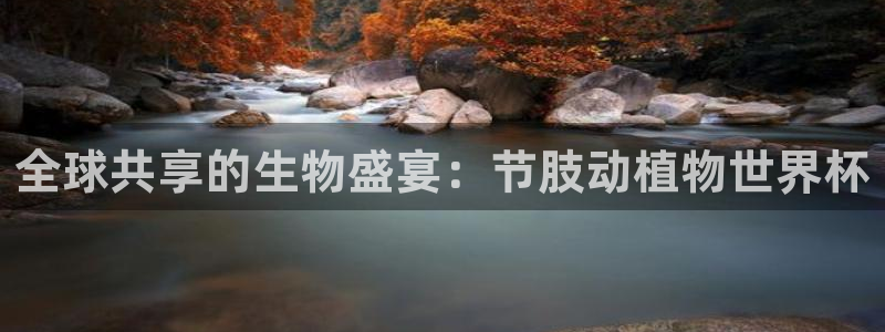 看世界杯:全球共享的生物盛宴:节肢动植物世界杯