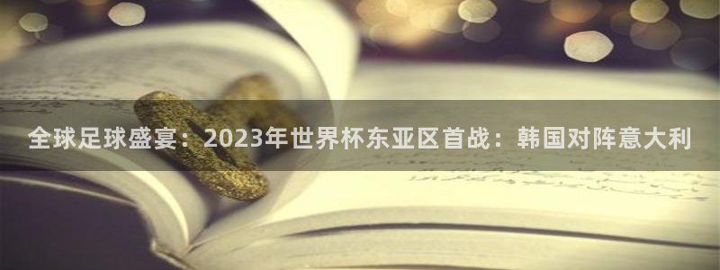 世界杯预选赛亚洲：全球足球盛宴：2023年世界杯东亚区首战：韩国对阵意大利