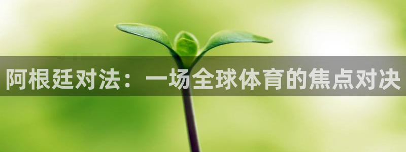 世界杯2026赛程时间表格:阿根廷对法:一场全球体育的焦点对决