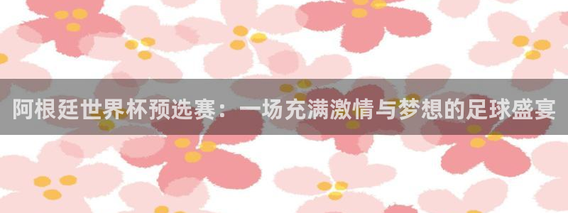 世界杯预选赛排名:阿根廷世界杯预选赛:一场充满激情与梦想的足球盛宴