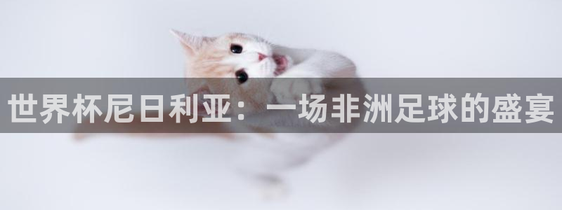 今年世界杯:世界杯尼日利亚:一场非洲足球的盛宴