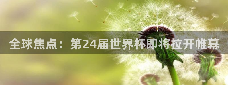 2026 世界杯：全球焦点：第24届世界杯即将拉开帷幕