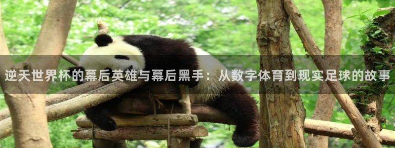2026 世界杯：逆天世界杯的幕后英雄与幕后黑手：从数字体育到现实足球的故事