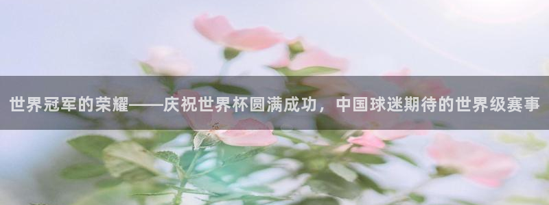 世界杯今年：世界冠军的荣耀——庆祝世界杯圆满成功，中国球迷期待的世界级赛事