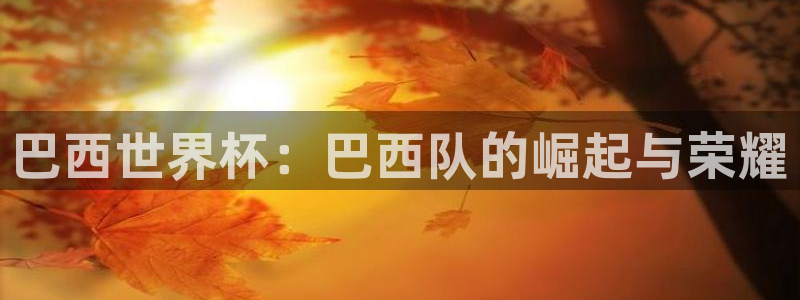 足球世界杯时间：巴西世界杯：巴西队的崛起与荣耀