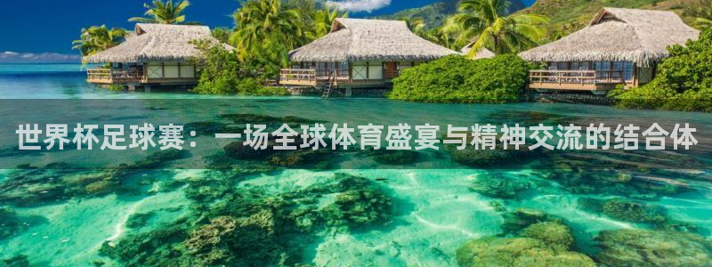 世界杯亚洲区预选赛：世界杯足球赛：一场全球体育盛宴与精神交流的结合体