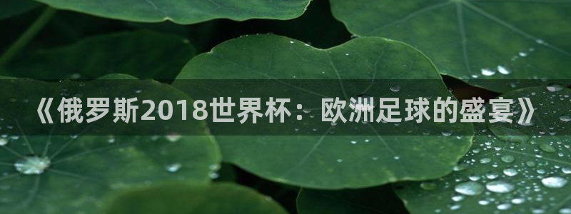 2026世界杯欧洲预选赛赛程表:《俄罗斯2018世界杯:欧洲足球的盛宴》