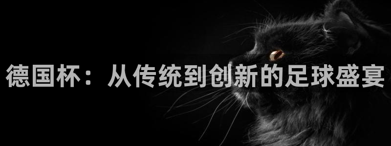 2026男足世界杯：德国杯：从传统到创新的足球盛宴