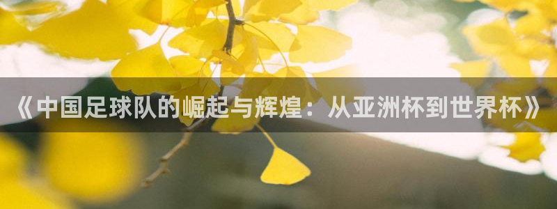 看世界杯：《中国足球队的崛起与辉煌：从亚洲杯到世界杯》