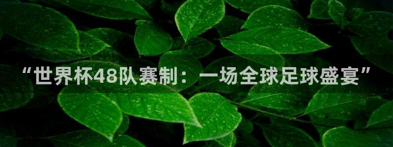 世界杯赛程时间表：“世界杯48队赛制：一场全球足球盛宴”