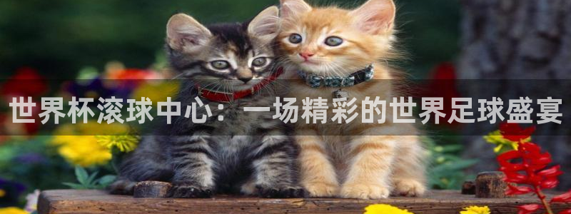 2026世界杯32强对阵图表：世界杯滚球中心：一场精彩的世界足球盛宴