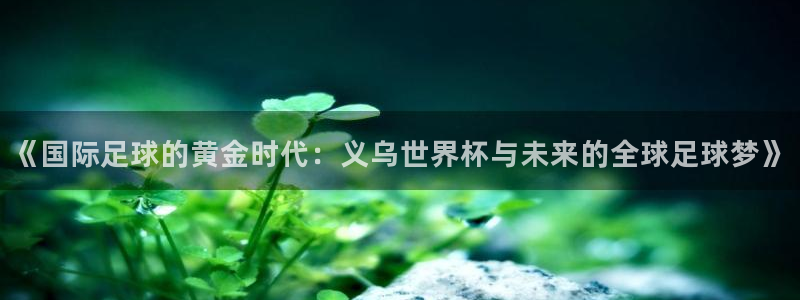 2026世界杯亚洲预选赛：《国际足球的黄金时代：义乌世界杯与未来的全球足球梦》