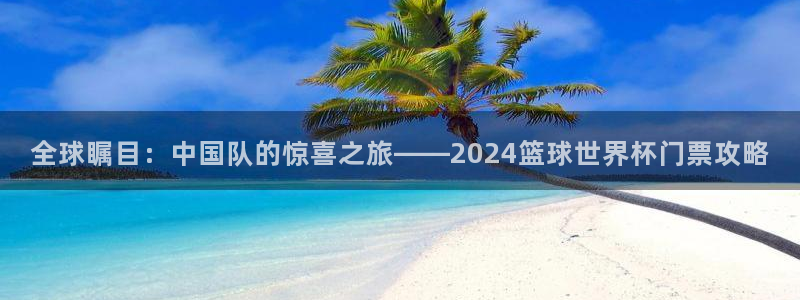 联赛杯直播：全球瞩目：中国队的惊喜之旅——2024篮球世界杯门票攻略