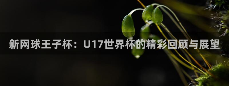 世界杯预选赛排名：新网球王子杯：U17世界杯的精彩回顾与展望