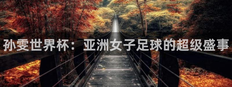 今年的世界杯：孙雯世界杯：亚洲女子足球的超级盛事