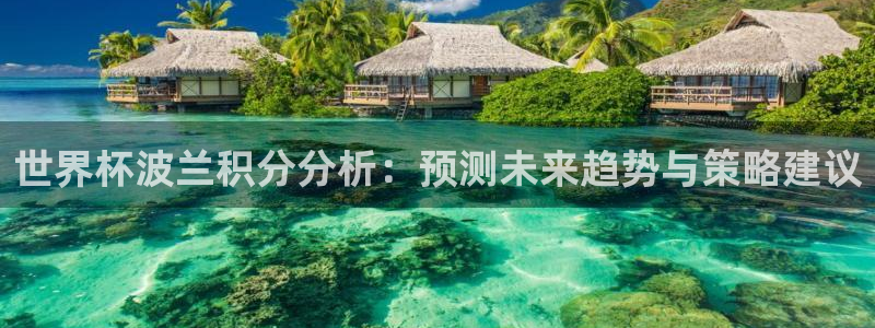 亚洲区世界杯预选赛：世界杯波兰积分分析：预测未来趋势与策略建议