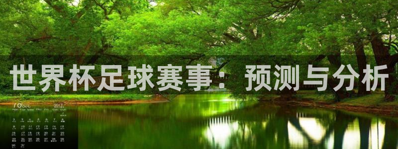 世界杯预赛赛程：世界杯足球赛事：预测与分析